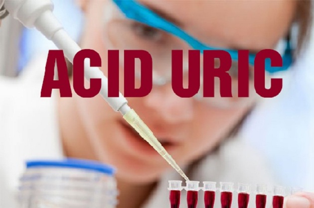Điều hòa chỉ số acid uric bình thường